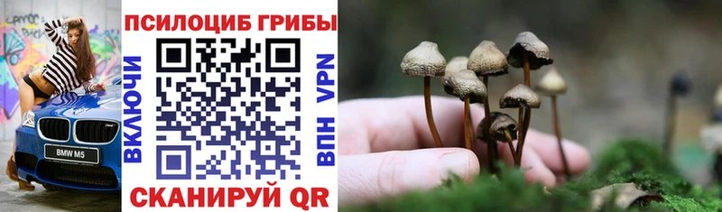 закладки  Стрежевой  Галлюциногенные грибы Psilocybine cubensis 